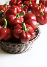 Load image into Gallery viewer, Pepper, Pimento