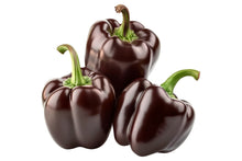 Load image into Gallery viewer, Pepper, Chocolate Beauty Bell