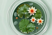 Load image into Gallery viewer, Lotus, Bowl