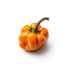 Load image into Gallery viewer, Pepper, Orange Scotch Bonnet