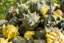 Load image into Gallery viewer, Gourd, Ten Commandments