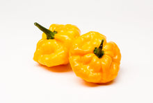 Load image into Gallery viewer, Pepper, Yellow Scotch Bonnet
