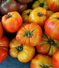 Load image into Gallery viewer, Tomato, Oaxacan Jewel