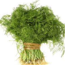 Load image into Gallery viewer, Grosfruchtiger Fennel – 200 Seeds