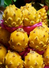Load image into Gallery viewer, Dragon Fruit, Yellow