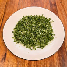 Load image into Gallery viewer, Basil Microgreens Seeds