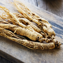 Load image into Gallery viewer, Ginseng,  American