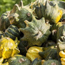 Load image into Gallery viewer, Gourd, Ten Commandments