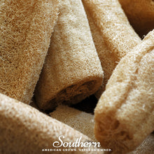 Load image into Gallery viewer, Luffa Gourd – 20 Seeds