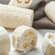 Load image into Gallery viewer, Luffa Gourd – 20 Seeds