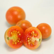 Load image into Gallery viewer, Tomato, Cherry Red Grape Riesenstraube - Organic
