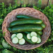 Load image into Gallery viewer, Cucumber, Green Finger - Organic