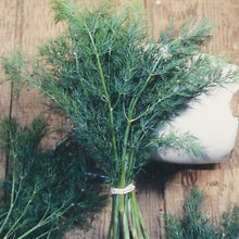 Load image into Gallery viewer, Dill, Mammoth - Organic
