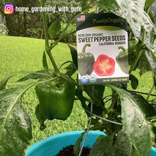Load image into Gallery viewer, Pepper, Cal Wonder Sweet - Organic
