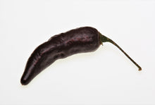Load image into Gallery viewer, Pepper, Royal Black