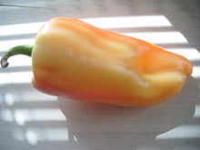 Load image into Gallery viewer, Pepper, Giant Szegedi - Organic