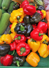 Load image into Gallery viewer, Pepper, Rainbow Bell