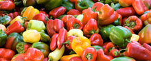 Load image into Gallery viewer, Pepper, Rainbow Bell