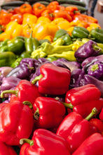 Load image into Gallery viewer, Pepper, Rainbow Bell