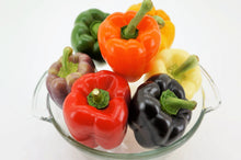 Load image into Gallery viewer, Pepper, Rainbow Bell