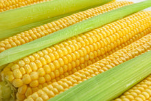 Load image into Gallery viewer, Corn, Sweet Honey Select