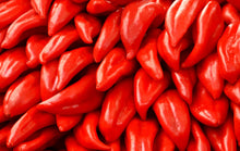Load image into Gallery viewer, Pepper, Big Jim