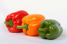 Load image into Gallery viewer, Pepper, Rainbow Bell