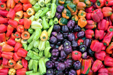 Load image into Gallery viewer, Pepper, Rainbow Bell