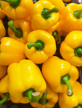 Load image into Gallery viewer, Pepper, Mini Bell - Organic