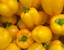 Load image into Gallery viewer, Pepper, Mini Bell - Organic