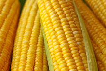 Load image into Gallery viewer, Corn, Sweet Honey Select