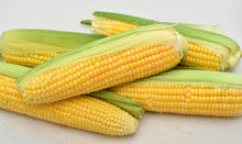 Load image into Gallery viewer, Corn, Sugar Buns