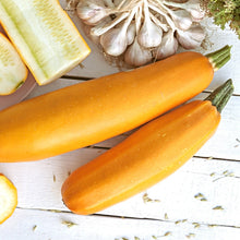 Load image into Gallery viewer, Summer Squash, Golden Zucchini