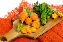 Load image into Gallery viewer, Carrot, Parisian