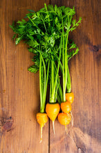 Load image into Gallery viewer, Carrot, Parisian