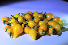 Load image into Gallery viewer, Pepper, Yellow Biquinho
