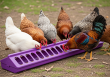 Load image into Gallery viewer, Chick Feeder, 20" Purple Plastic - 2-Pack