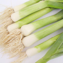 Load image into Gallery viewer, Leek, American Flag - Organic