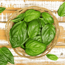 Load image into Gallery viewer, Basil, Italian Large Leaf