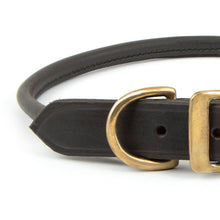 Load image into Gallery viewer, Rolled Leather Dog Collars with Brass Hardware