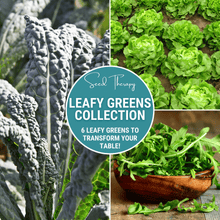 Load image into Gallery viewer, Leafy Greens Seed Collection – 6 Varieties