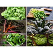 Load image into Gallery viewer, Leafy Greens Seed Collection – 6 Varieties