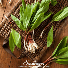 Load image into Gallery viewer, Wild Leek (Ramps) – 10 Seeds