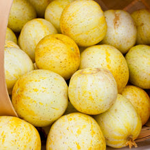 Load image into Gallery viewer, Cucumber, Lemon - Organic