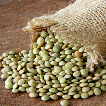 Load image into Gallery viewer, Lentil