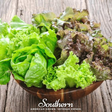 Load image into Gallery viewer, Lettuce, Bibb Summer
