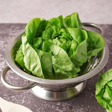 Load image into Gallery viewer, Lettuce, Bibb