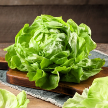 Load image into Gallery viewer, Lettuce, White Boston