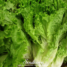 Load image into Gallery viewer, Lettuce, Green Ice