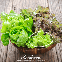 Load image into Gallery viewer, Lettuce, Green Ice
